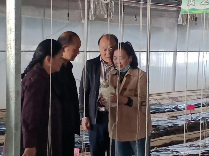 图片13.png