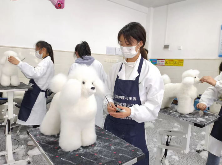 微信截图_20221205100216.png