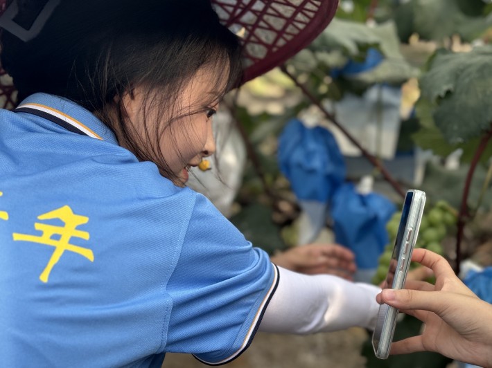 微信截图_20240710165938.png