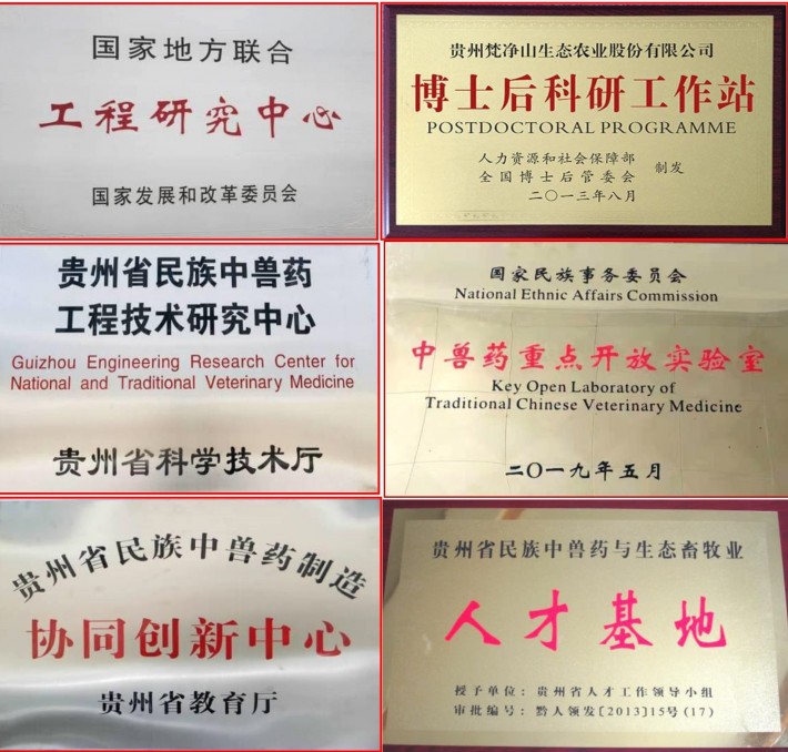 平台群.jpg