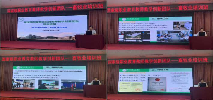 图片8.png